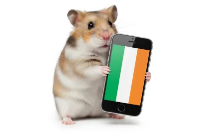 Een hamster houdt een smartphone vast die een scherm met de Ierse vlag toont.