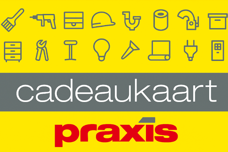 Praxis Gift Card | Buy your Top Tools & Home Supplies now!